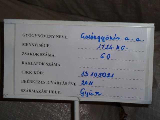 gyogy9.23